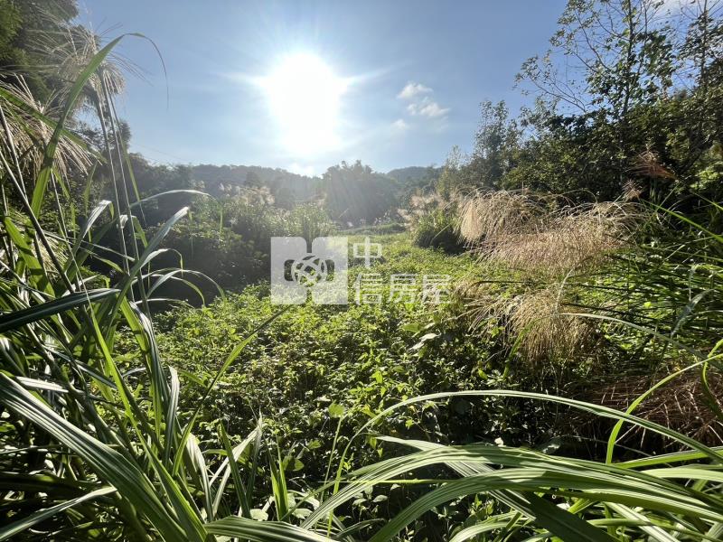 新社雙翠潭旁雙面臨路農地房屋室內格局與周邊環境