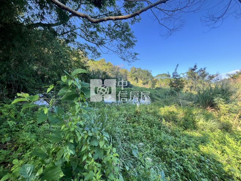 新社雙翠潭旁雙面臨路農地房屋室內格局與周邊環境