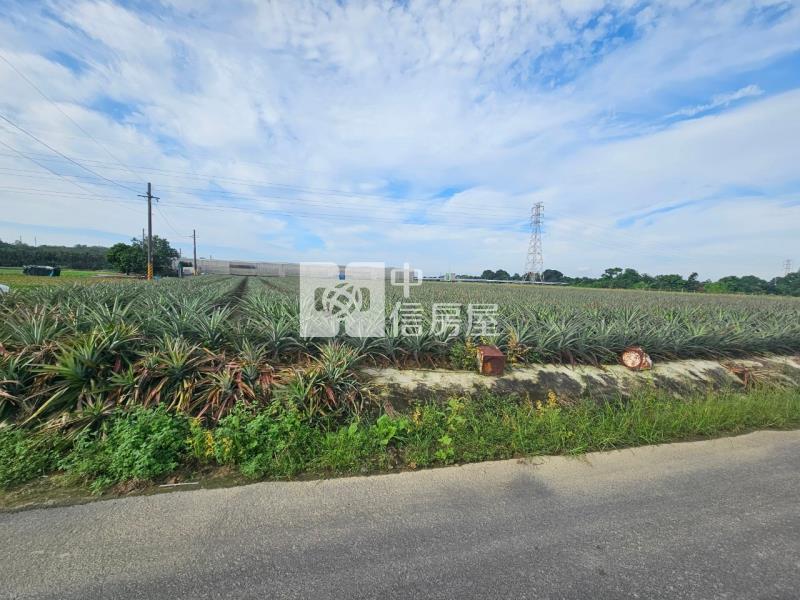 水道博物館旁831坪一般農地房屋室內格局與周邊環境