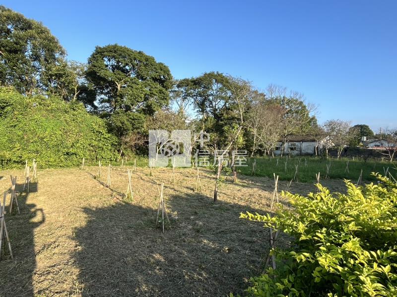 新社花海旁華豐街臨路農地房屋室內格局與周邊環境