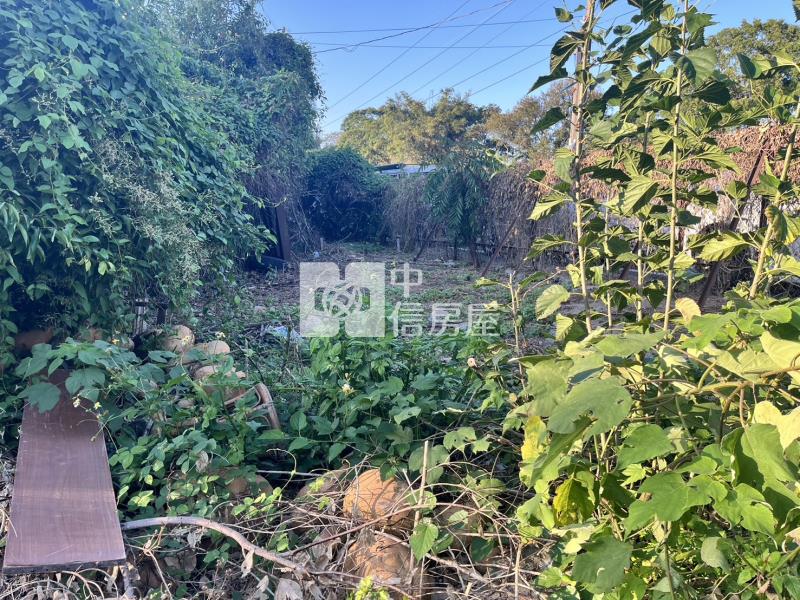 新社花海旁華豐街臨路農地房屋室內格局與周邊環境