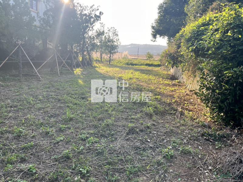 新社花海旁華豐街臨路農地房屋室內格局與周邊環境