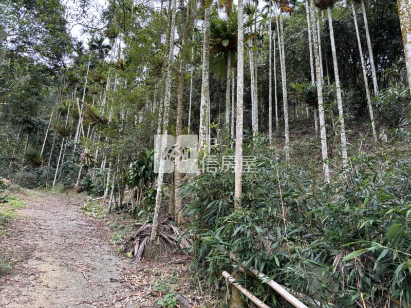 九族農牧用地房屋室內格局與周邊環境