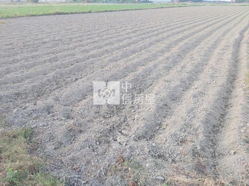 塭子內635坪農地房屋室內格局與周邊環境