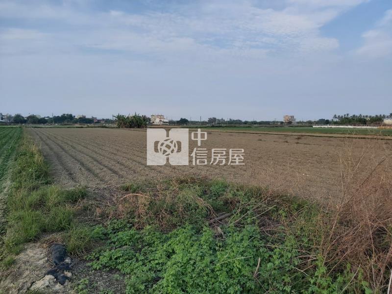 塭子內635坪農地房屋室內格局與周邊環境