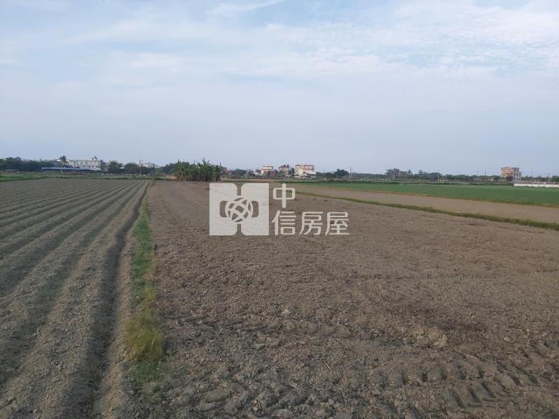 塭子內635坪農地房屋室內格局與周邊環境