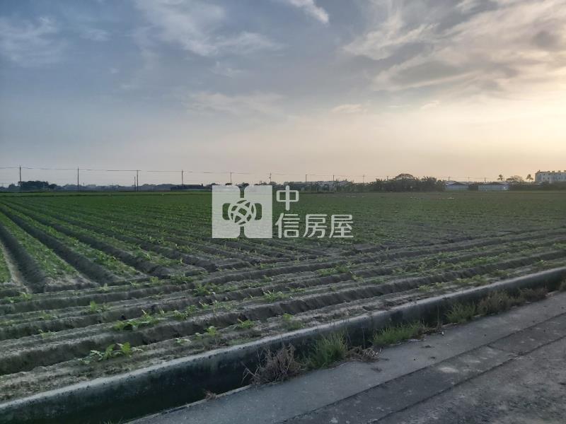 塭子內635坪農地房屋室內格局與周邊環境