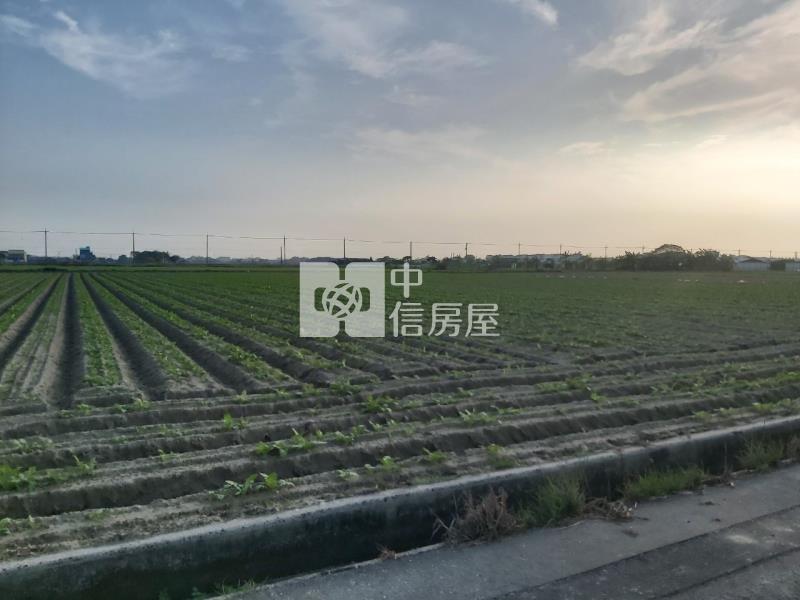 塭子內635坪農地房屋室內格局與周邊環境