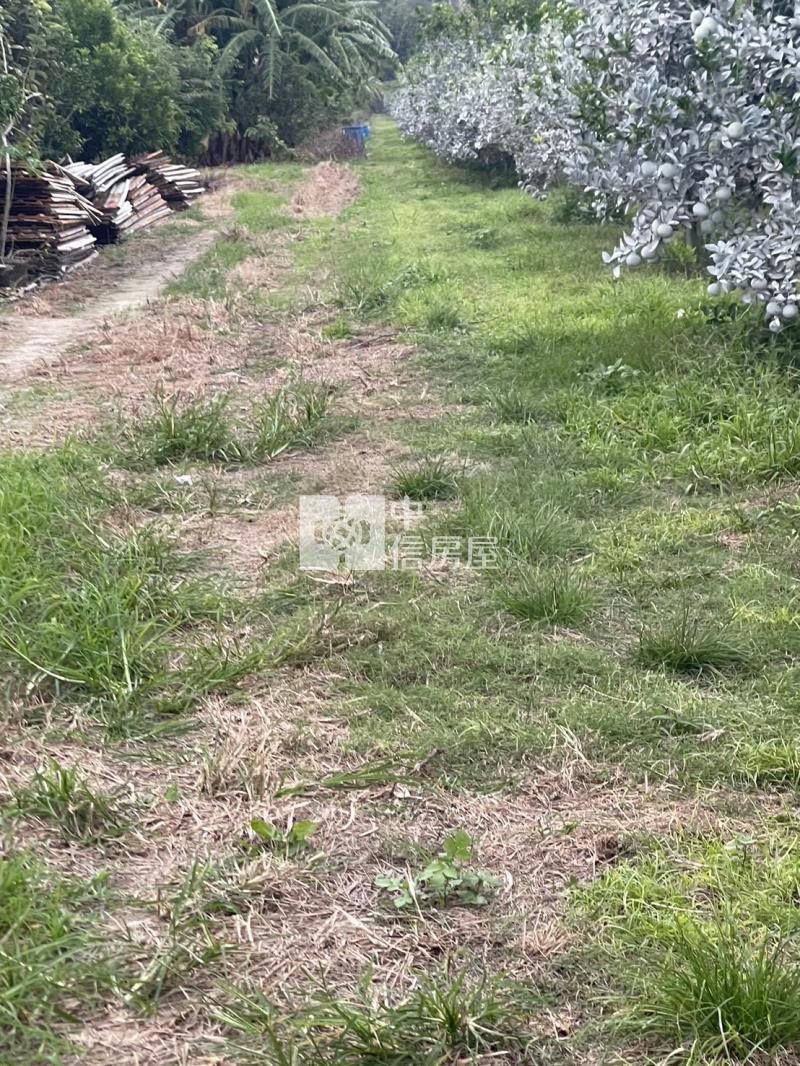 竹山優質農地房屋室內格局與周邊環境