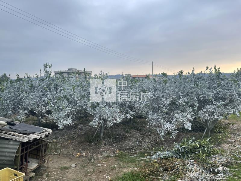 竹山優質農地房屋室內格局與周邊環境