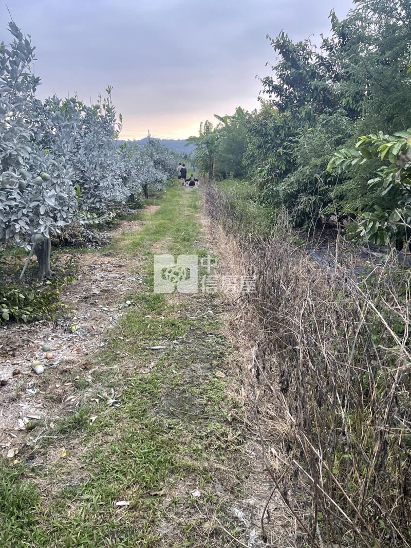 竹山優質農地房屋室內格局與周邊環境