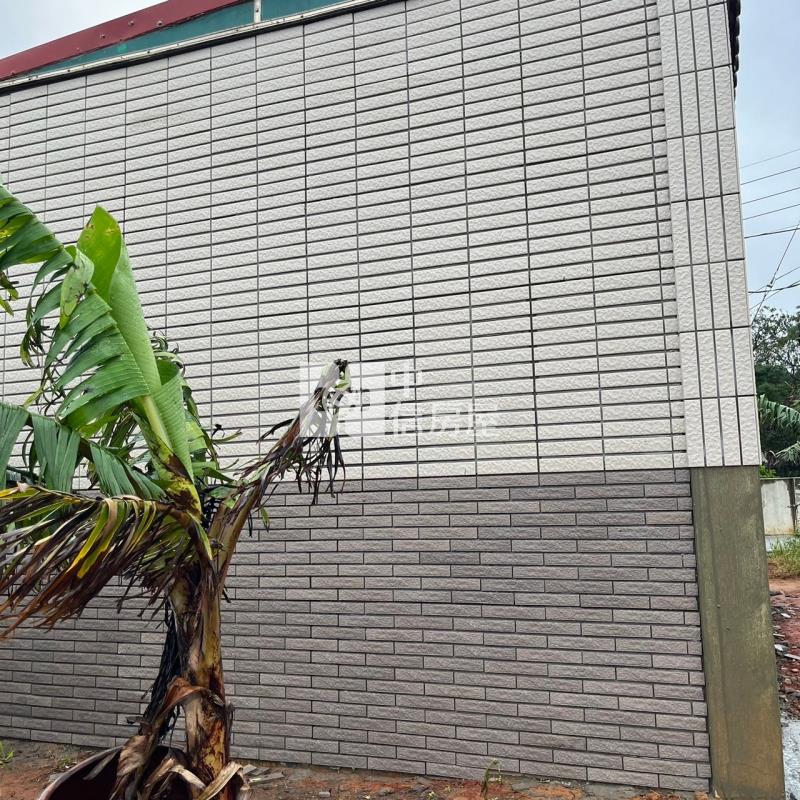 新屋合法資材室房屋室內格局與周邊環境