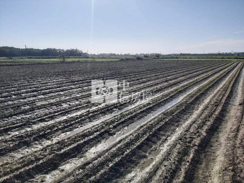 苓子寮莊頭面寬農地房屋室內格局與周邊環境