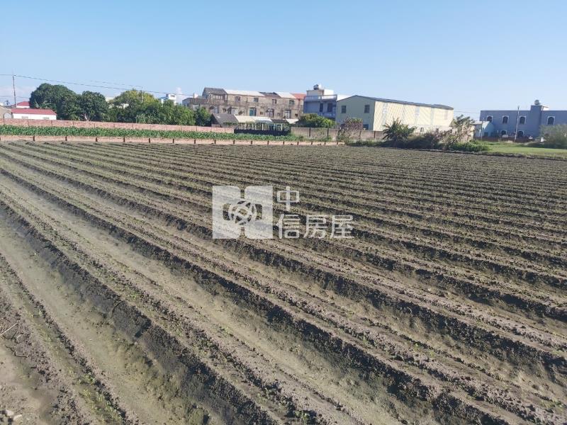 苓子寮莊頭面寬農地房屋室內格局與周邊環境