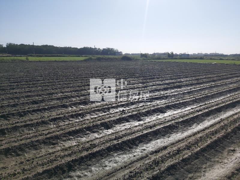 苓子寮莊頭面寬農地房屋室內格局與周邊環境