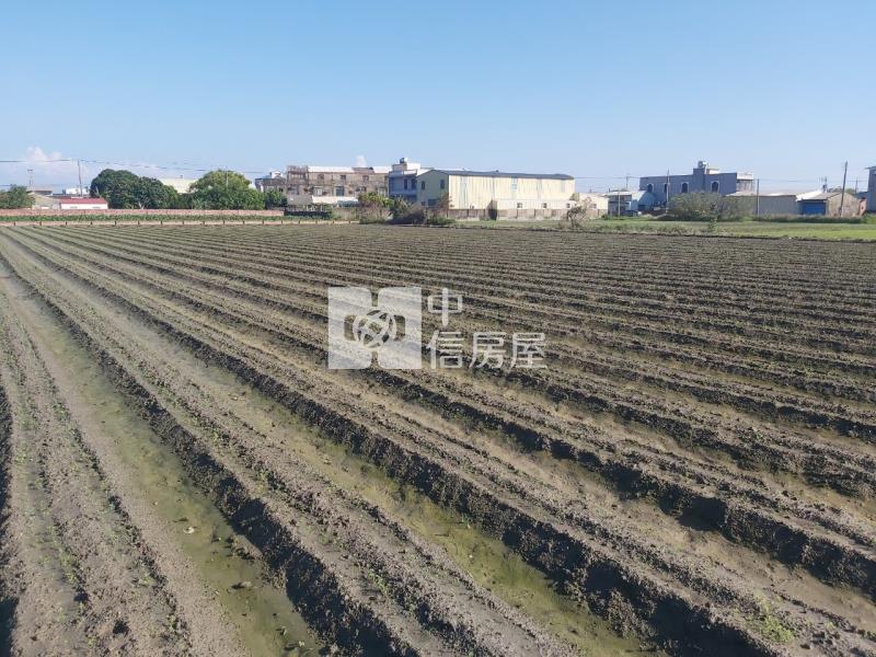 苓子寮莊頭面寬農地房屋室內格局與周邊環境