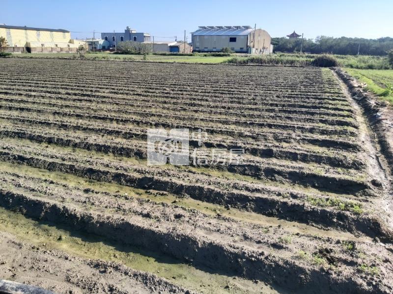苓子寮莊頭面寬農地房屋室內格局與周邊環境