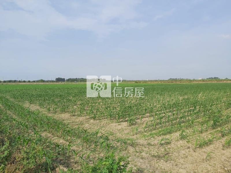 胡厝寮2.5分一般農房屋室內格局與周邊環境