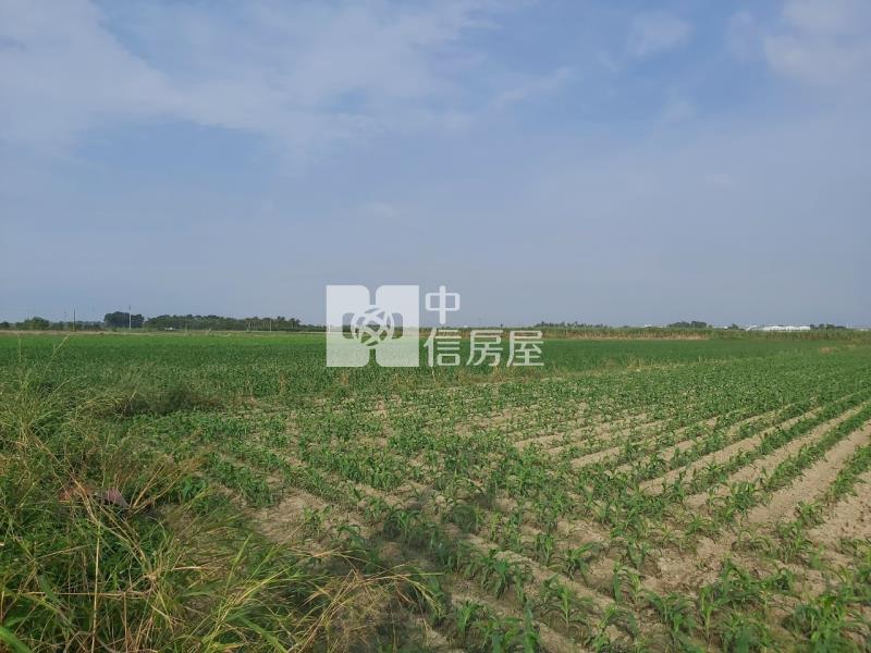 胡厝寮2.5分一般農房屋室內格局與周邊環境