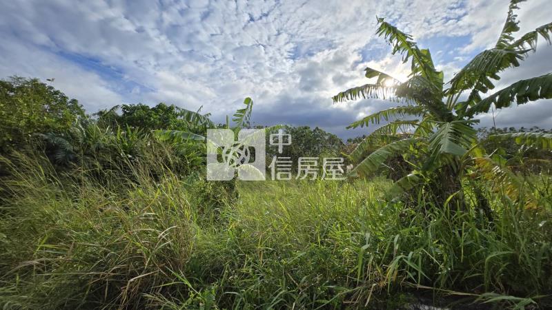 芎林大華段農地房屋室內格局與周邊環境