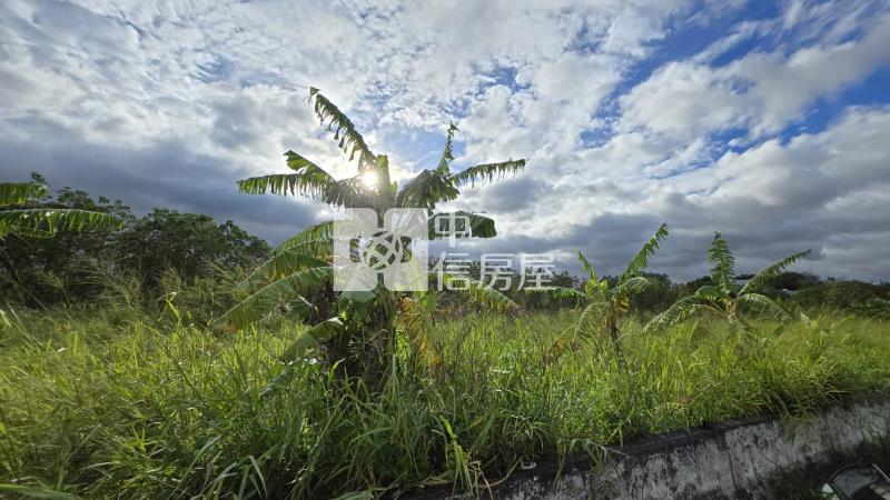 芎林大華段農地房屋室內格局與周邊環境
