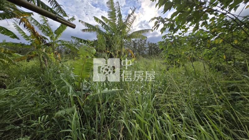 芎林大華段農地房屋室內格局與周邊環境