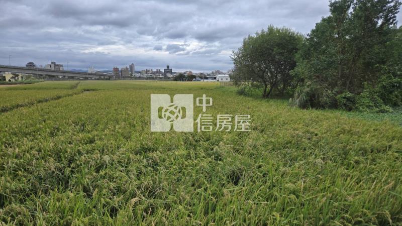 頭份都計內山下段農地房屋室內格局與周邊環境