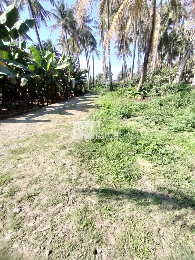 屏東土地 優質土壤近村莊農地房屋室內格局與周邊環境
