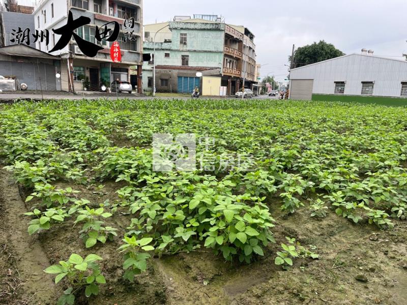萬丹四維東路商業建地房屋室內格局與周邊環境