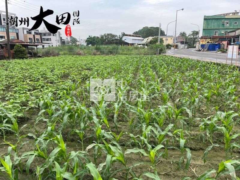 萬丹四維東路商業建地房屋室內格局與周邊環境