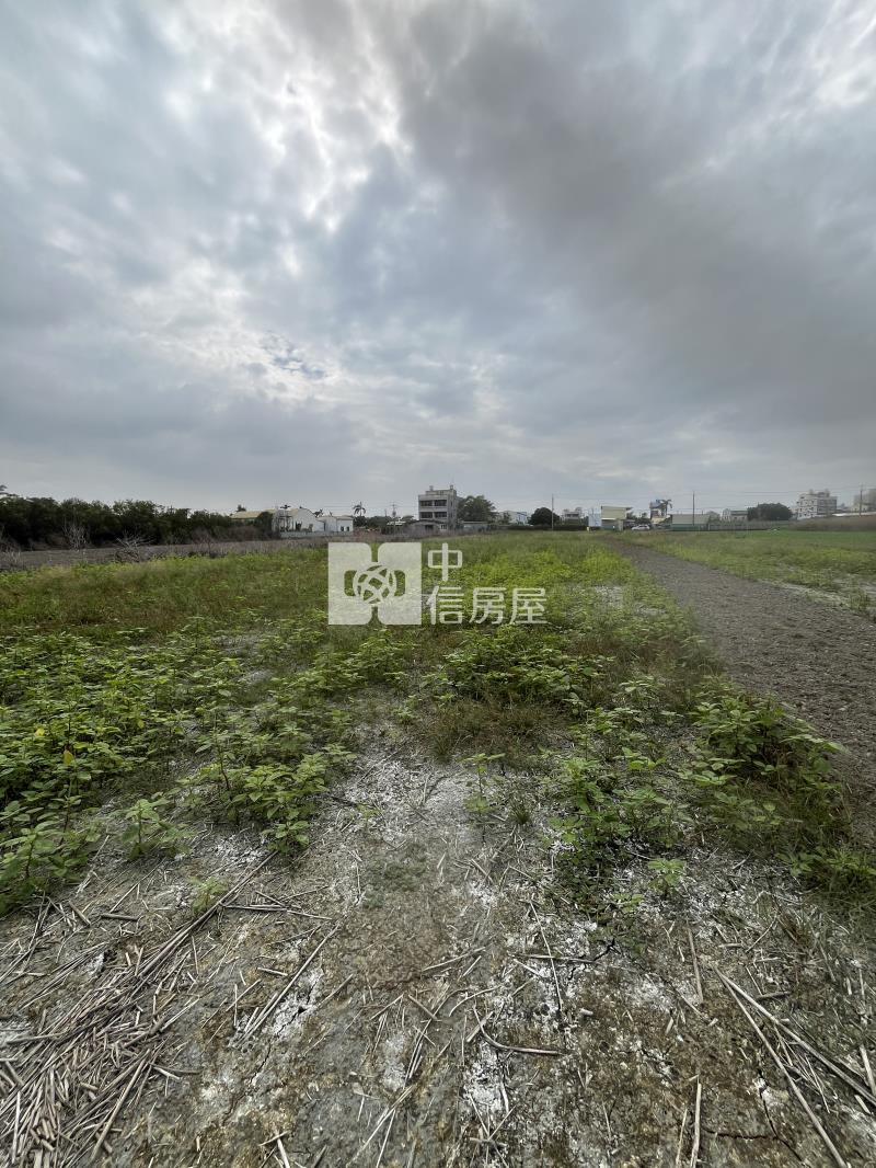 長溪路都計內303坪農地房屋室內格局與周邊環境