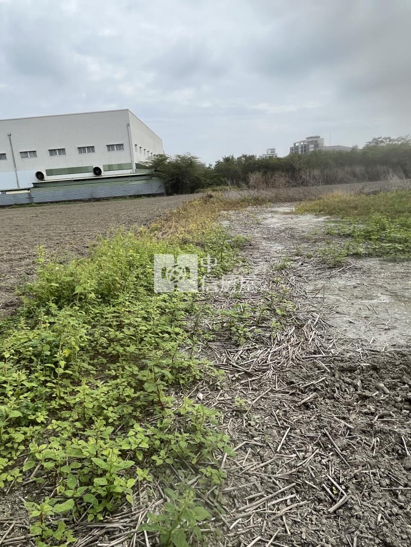 長溪路都計內303坪農地房屋室內格局與周邊環境