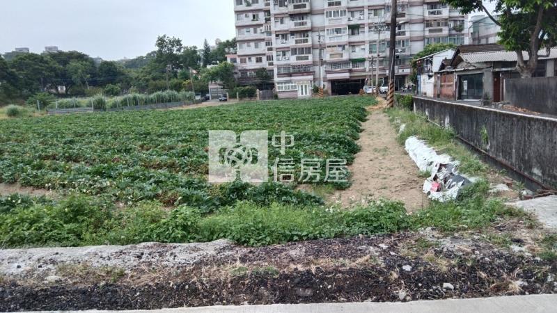 龍潭碧湖段都內農(1)房屋室內格局與周邊環境