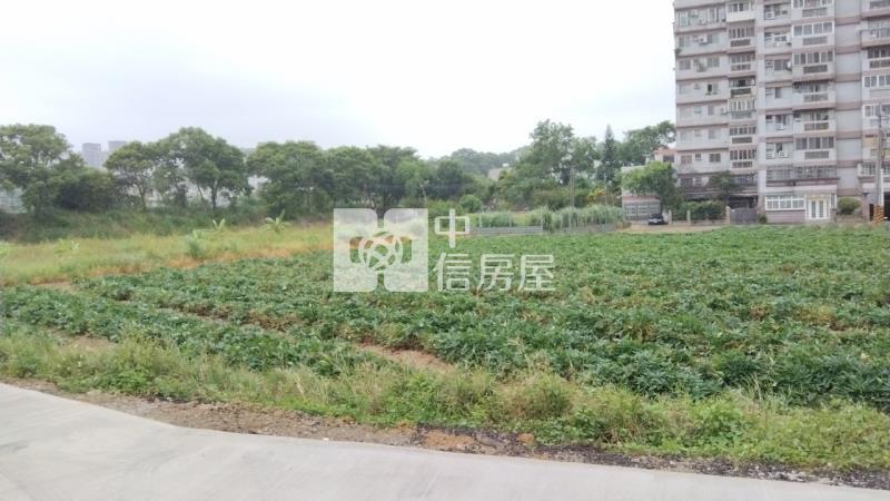 龍潭碧湖段都內農(1)房屋室內格局與周邊環境