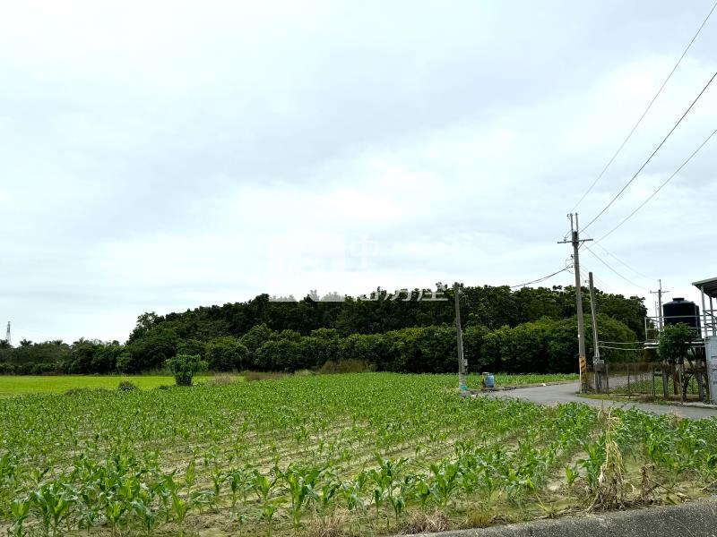 新市大營NO區＂旁＂未來價農地房屋室內格局與周邊環境