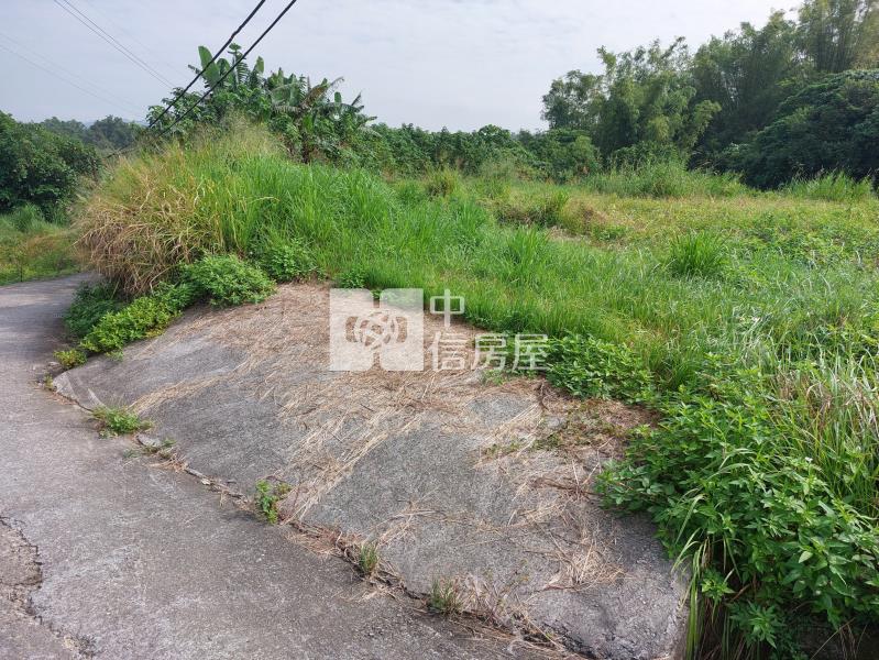左鎮近化石館6.3分有水電平坦農地房屋室內格局與周邊環境