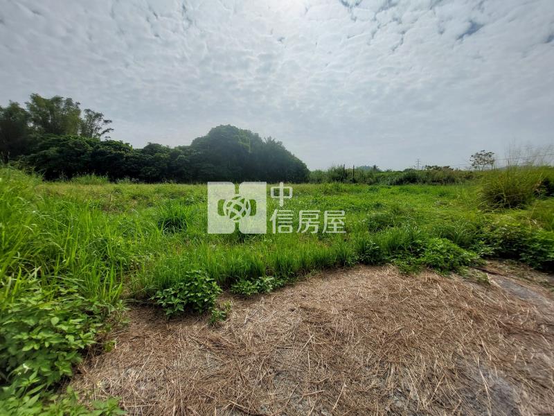 左鎮近化石館6.3分有水電平坦農地房屋室內格局與周邊環境