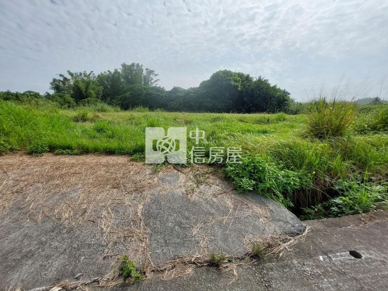 左鎮近化石館6.3分有水電平坦農地房屋室內格局與周邊環境