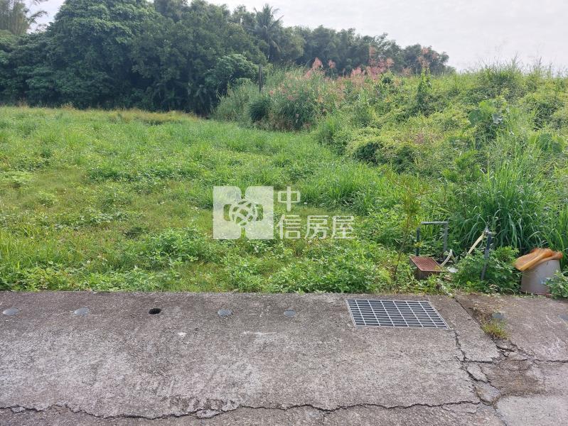 左鎮近化石館6.3分有水電平坦農地房屋室內格局與周邊環境