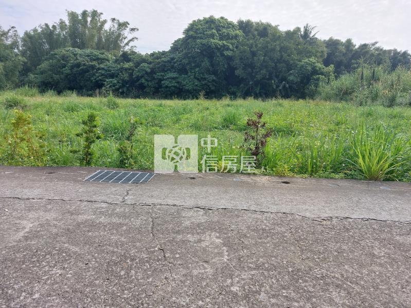 左鎮近化石館6.3分有水電平坦農地房屋室內格局與周邊環境