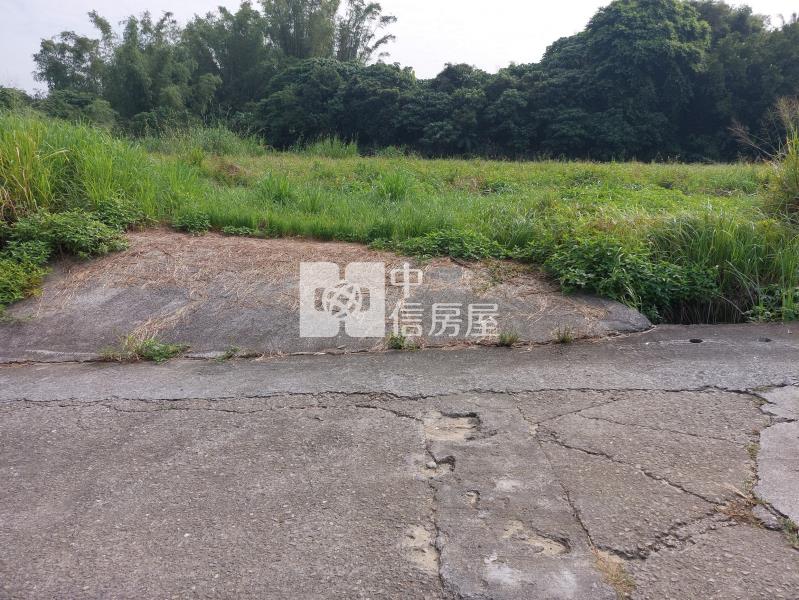 左鎮近化石館6.3分有水電平坦農地房屋室內格局與周邊環境