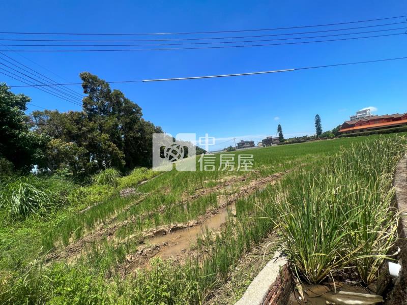 新屋正清華路大地坪角地房屋室內格局與周邊環境