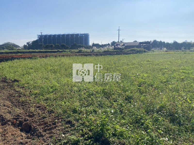 近啟文國小大地坪農地房屋室內格局與周邊環境