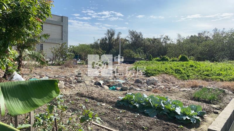 龍井龍津高中臨路農地房屋室內格局與周邊環境