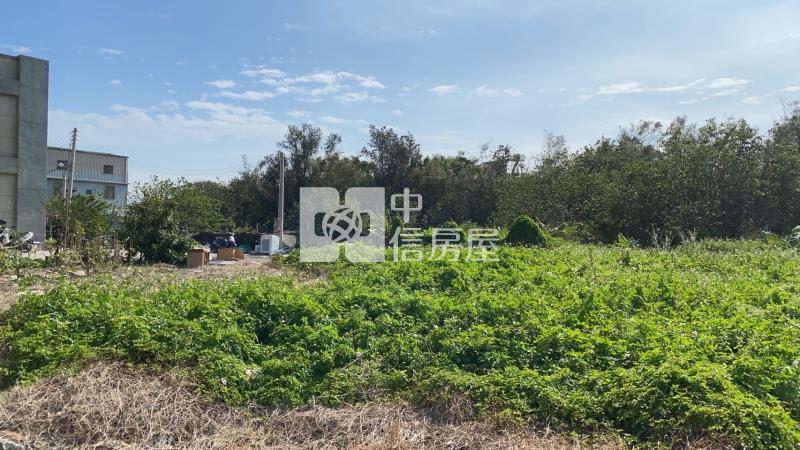 龍井龍津高中臨路農地房屋室內格局與周邊環境