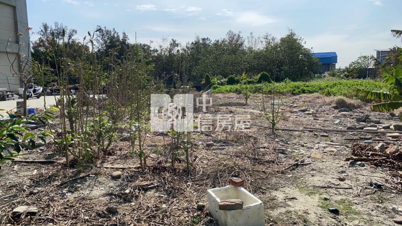 龍井龍津高中臨路農地房屋室內格局與周邊環境