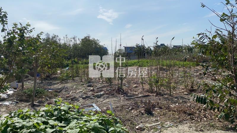 龍井龍津高中臨路農地房屋室內格局與周邊環境
