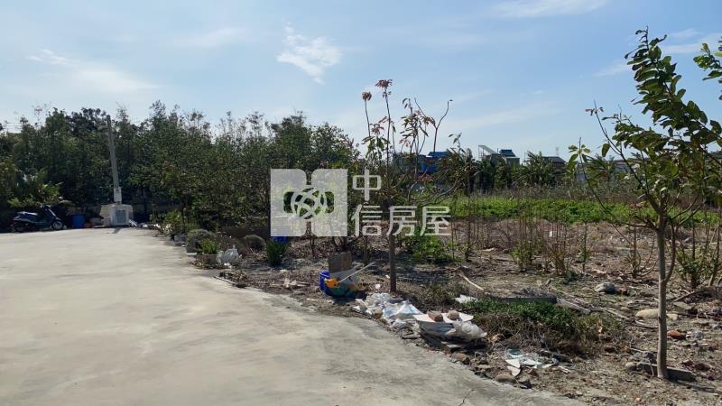 龍井龍津高中臨路農地房屋室內格局與周邊環境