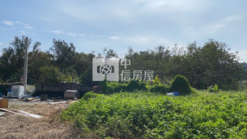 龍井龍津高中臨路農地房屋室內格局與周邊環境