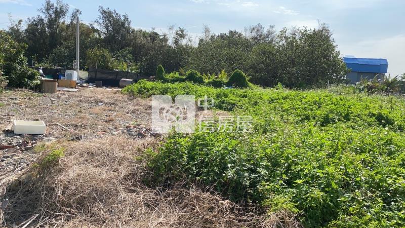 龍津高中優質農地房屋室內格局與周邊環境